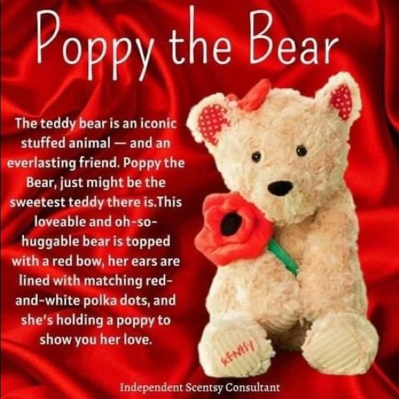 Scentsy products - Picture 11 of 16